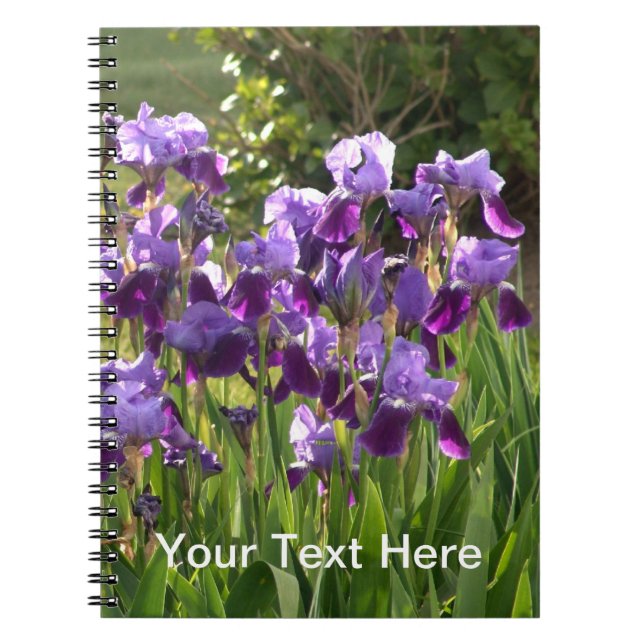 Carnet d'iris (Devant)