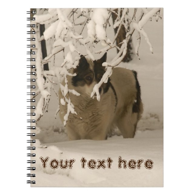 Carnet Dog (Devant)