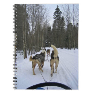Carnet Dog Sledding à Québec, Canada