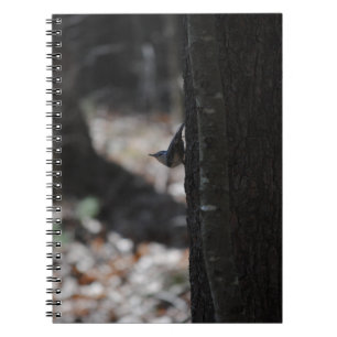 Carnet d'oiseaux