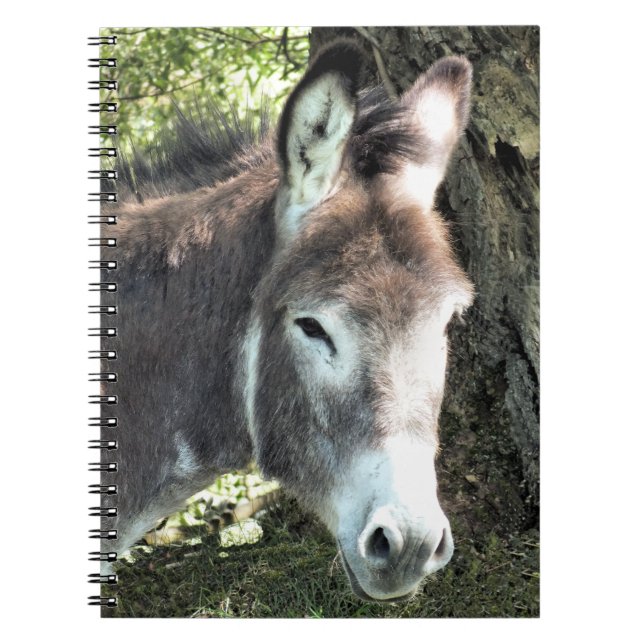 CARNET DONKEY (Devant)