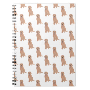 Carnet Doodle II (Apricot Golden Red)