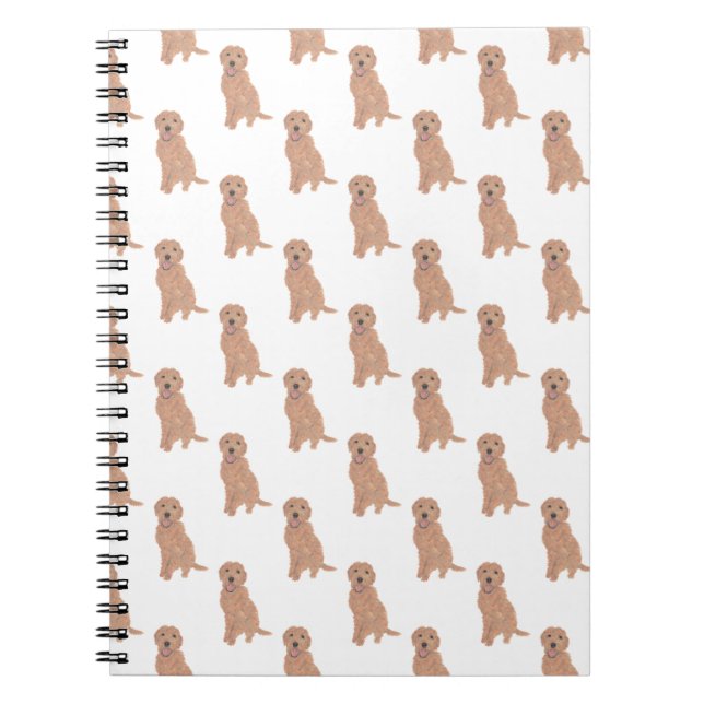 Carnet Doodle II (Apricot Golden Red) (Devant)