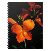 Carnet d'orchidées éblouissant