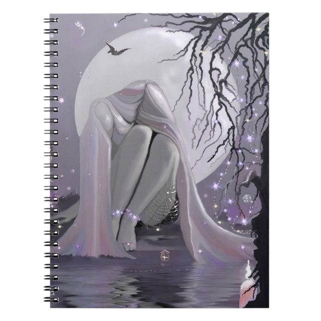 Carnet Dormir au clair de lune ! (Devant)