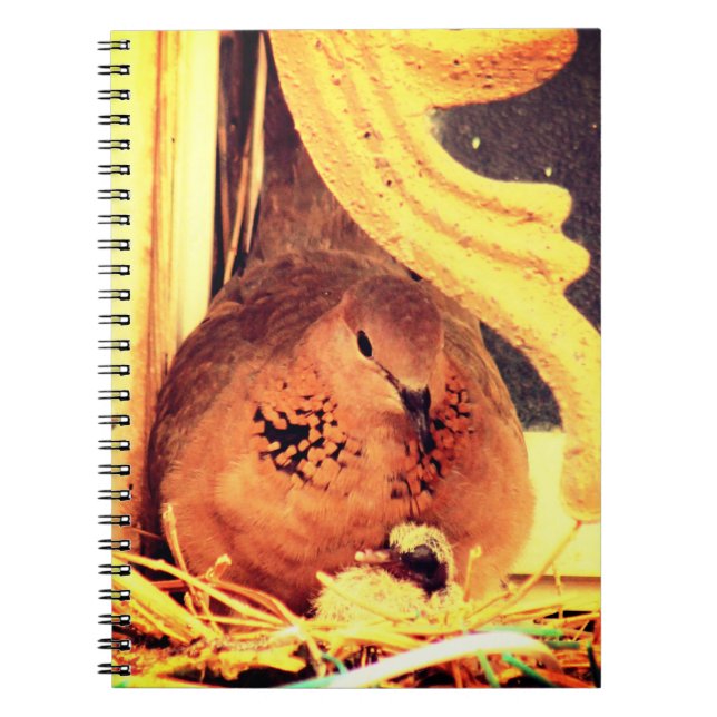 Carnet Doting Mama Dove (Devant)