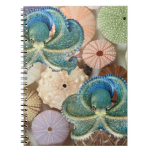 Carnet Double album photos de spirale de poulpe