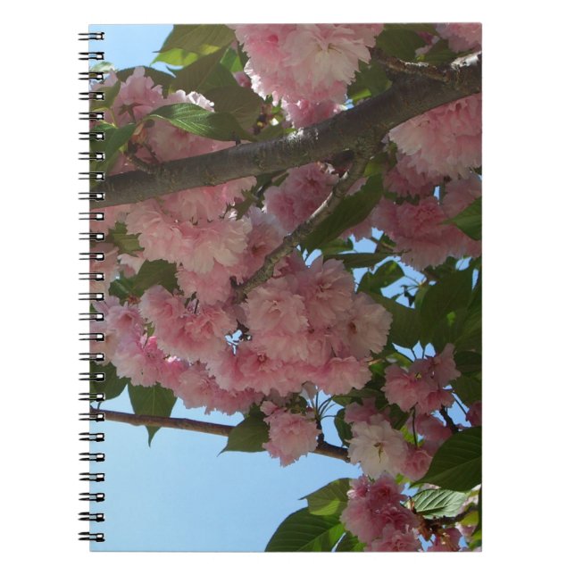 Carnet Double Blossoming Cherry (Devant)