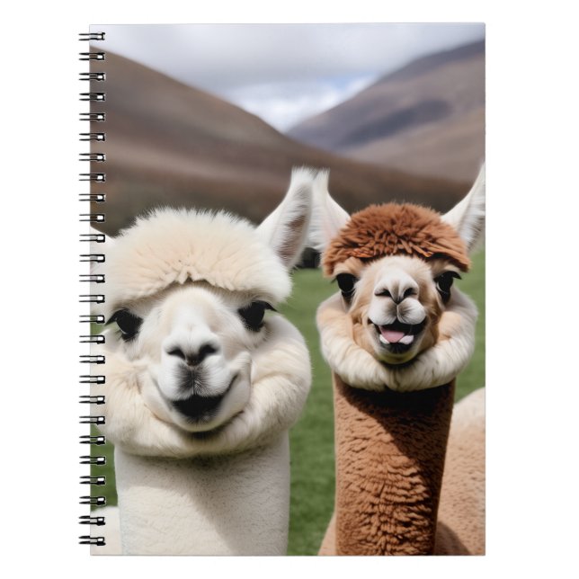 Carnet Douceur & Amitié (Devant)