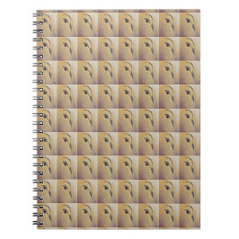 Carnet Dove love