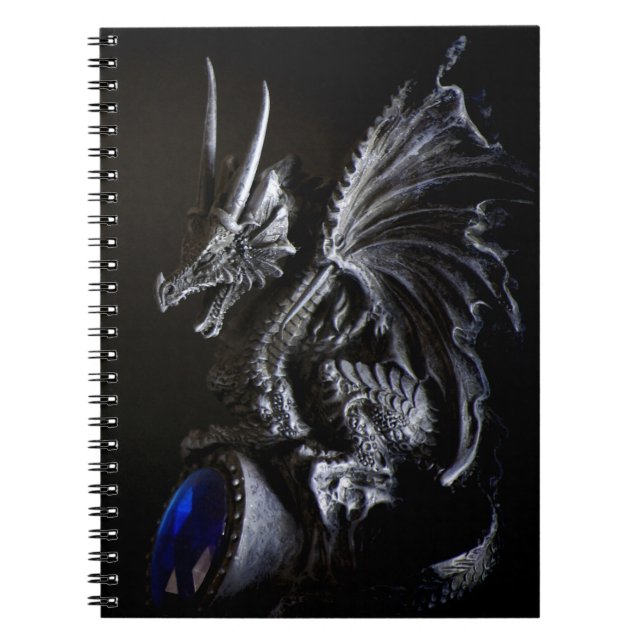 Carnet Dragon (Devant)