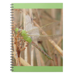 Carnet Dragonfly vert I1