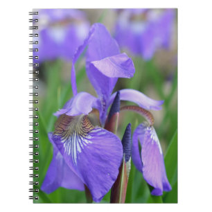 Carnet Drapeau bleu violet Iris Fleur Nature