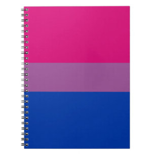 Carnet Drapeau de la fierté bisexuelle