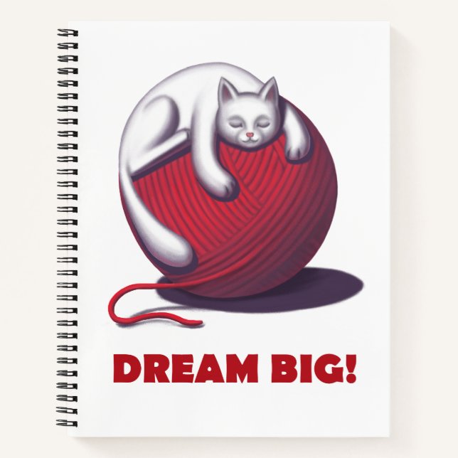 Carnet Dream Big (Devant)
