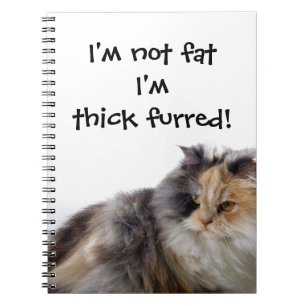 Carnet Drôle Chat n'est pas gras ! Épais fourré