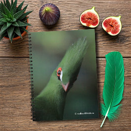 Carnet Drôle Curieux Guinée Turaco Oiseau Vert