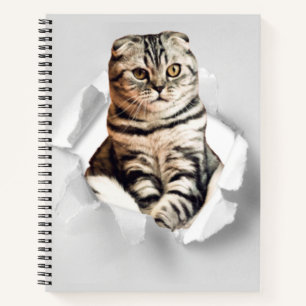 Carnet Drôle Gray Cat Popping à travers l'illusion du pap
