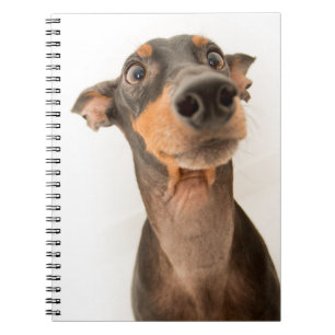 Carnet Drôle mignon Doberman Chien Chien Chien Chien