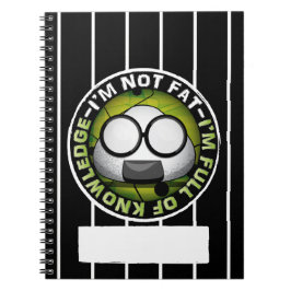 Carnet Drôle riceball japonais