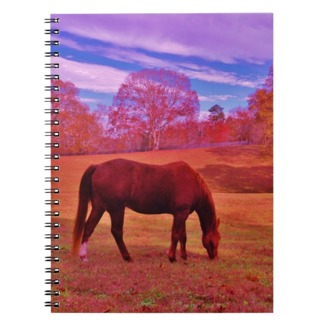 CARNET DSCF0536.JPG (Devant)