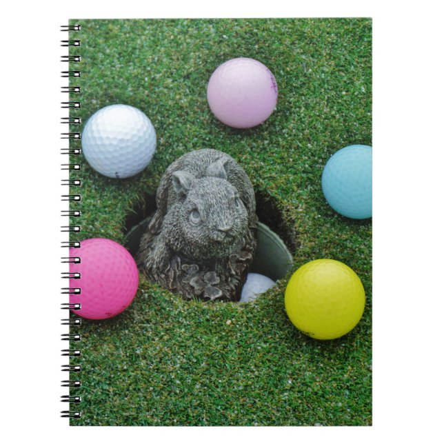 CARNET DSCF0698.JPG (Devant)