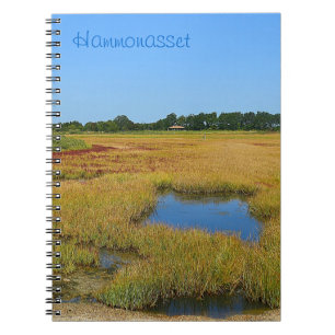 Carnet du marais de Tidepool