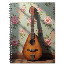 Dulcimer à six cordes Instrument rare vintage