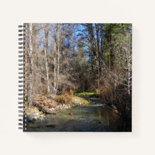 Carnet East Fork Creek...