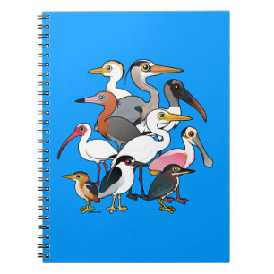 Carnet Échassiers nord-américains