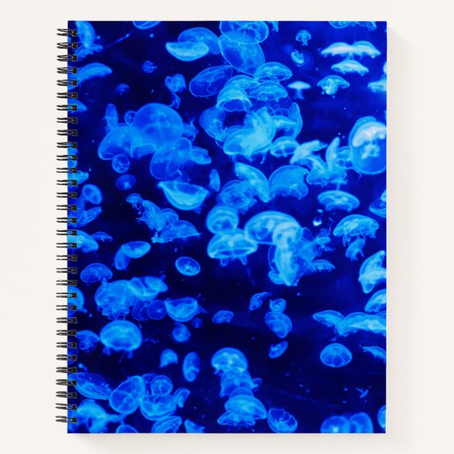Carnet Écran de méduse (Devant)