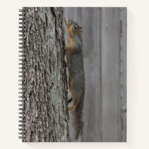 Carnet Écureuil