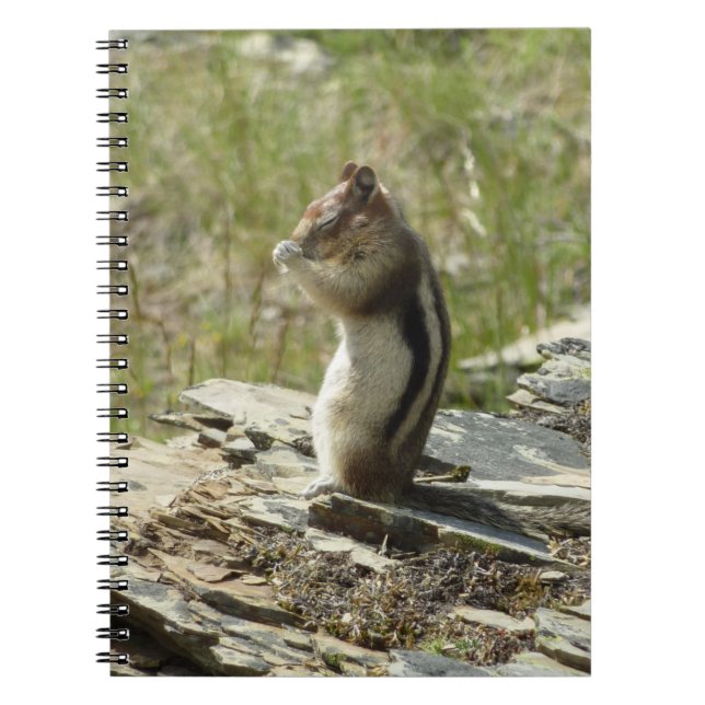 Carnet Écureuil de fond à manteau doré au glacier I (Devant)