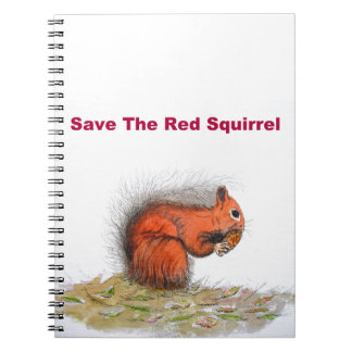 Carnet Écureuil rouge