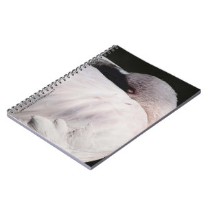 Carnet Effet de dessin de portrait de flamant rose Art