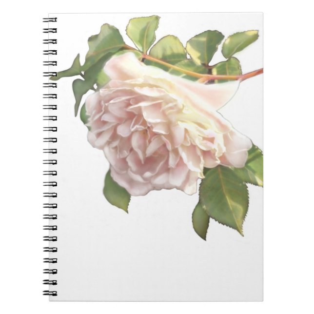 Carnet Elégant rose à fleurs blanc peachy orange foncé (Devant)