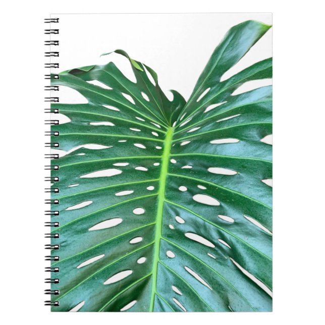 Carnet Elégante feuille de palmier tropicale jungle tropi (Devant)