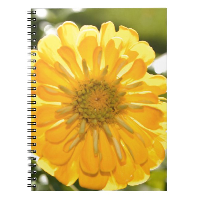 Carnet Élégante marguerite fleurie jaune (Devant)