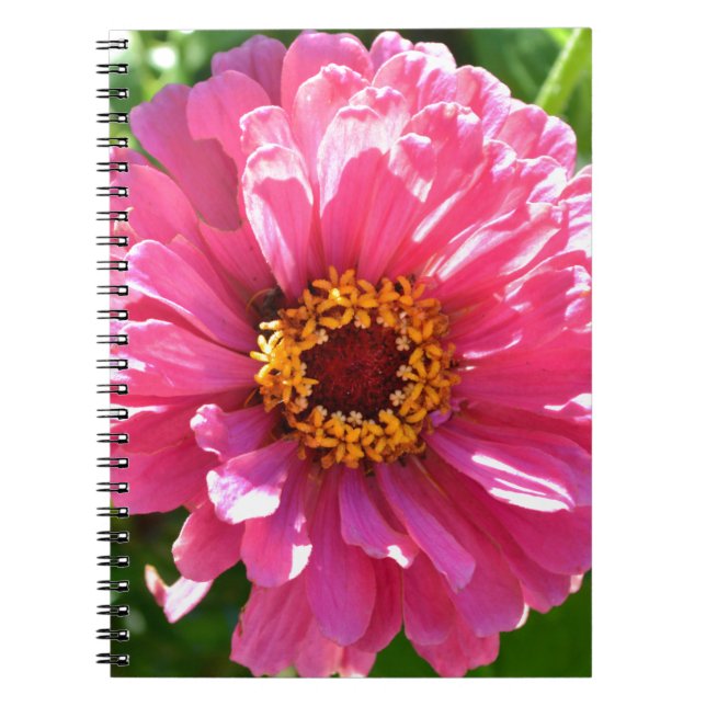 Carnet Elégante marguerite rose rose rétro (Devant)