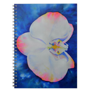 Carnet Elégante orchidée florale blanche rose aquarelle