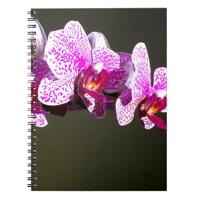 Carnet Élégante orchidée rose fleurie tropicale (Devant)
