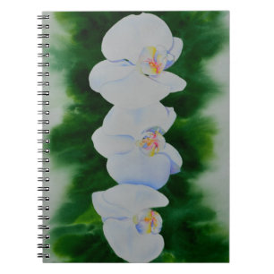 Carnet Elégante peinture d'orchidée tropicale blanche