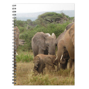 Carnet éléphant