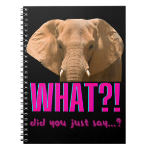 Carnet Éléphant Qu'avez-vous dit?