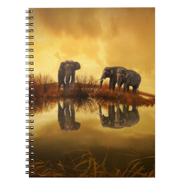 Carnet Eléphants asiatiques en Thaïlande sous un coucher  (Devant)