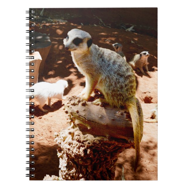 Carnet Eliza Queen Of The Meerkats, Ordinateur Portable (Devant)