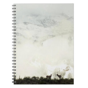Carnet Elk at Grand Teton National Park Photographie