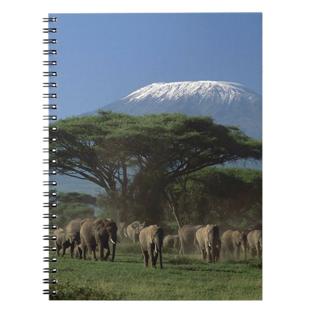 Carnet Elphants du Mont Kilimandjaro (Devant)