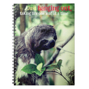 Carnet Emplacement dans l'arbre photo
