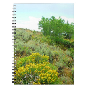 Carnet En haut de la colline, grand parc national de teto